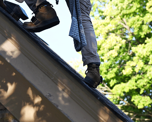 inspector walking on roof